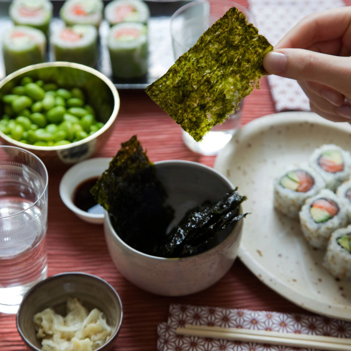 Φύλλα Φυκιού για Σούσι Bio Probios Nori Organic Dried Seaweed Nori in Sheets