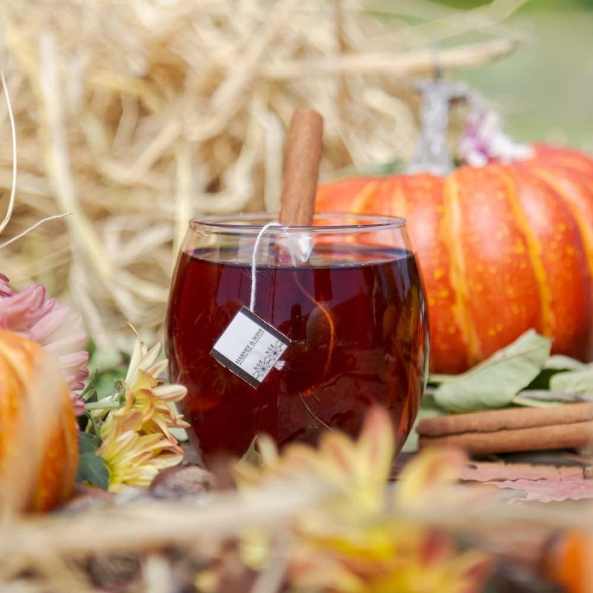 Αφέψημα Κολοκύθας Harney And Sons Pumpkin Spice Tea Tin