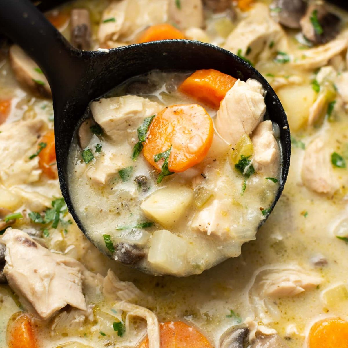 Ζωμός Κοτόπουλου John Lusty Chicken Stock