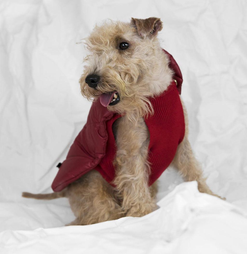 Poldo Dog Couture Cortina Red 2 in 1 Luxury Coat X-Small 30cm Small 35cm Medium 40cm-C