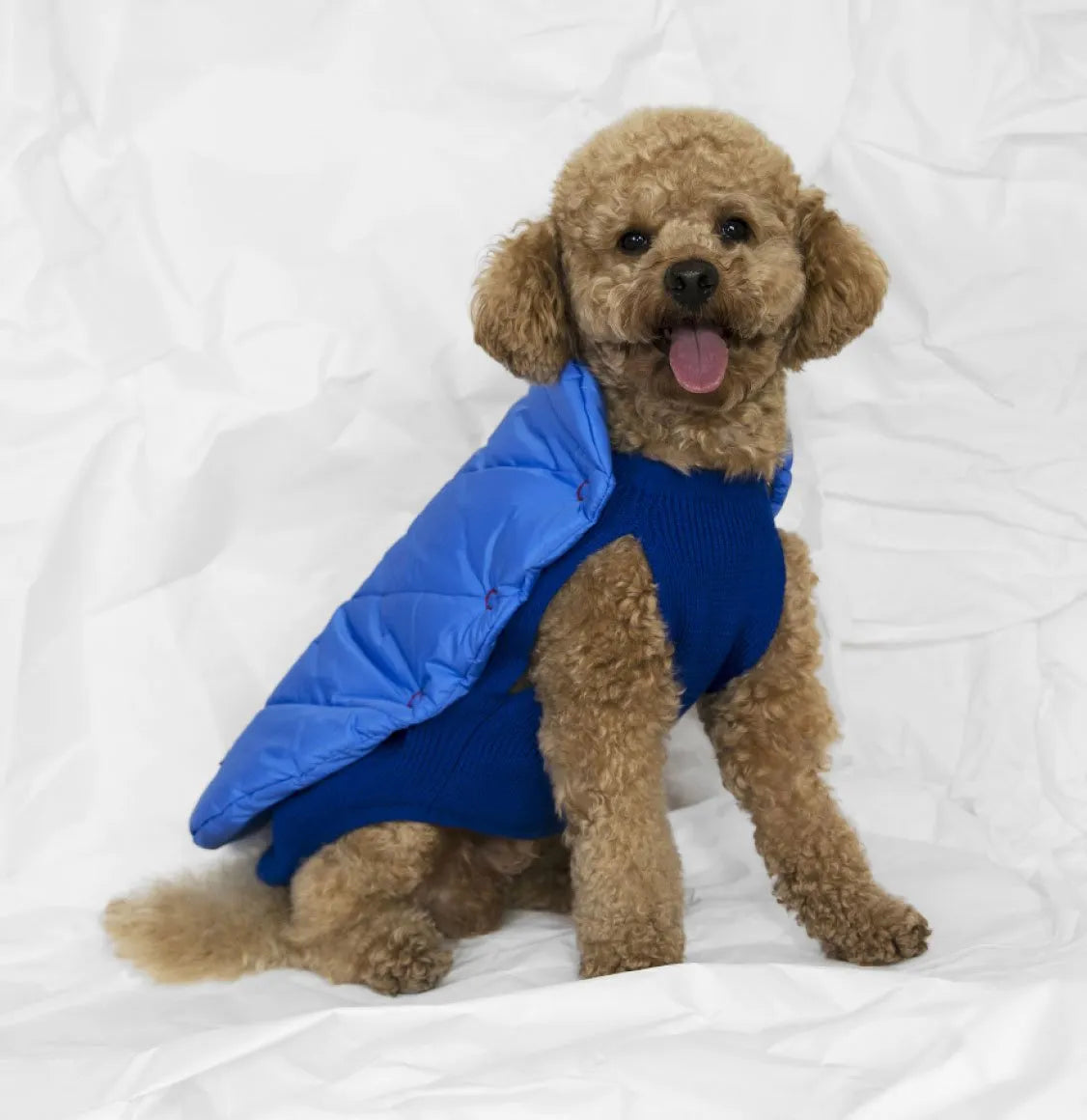 Μπουφάν Για Σκύλους Poldo Dog Couture Cortina Blue 2 in 1 Reversible Dog Coat