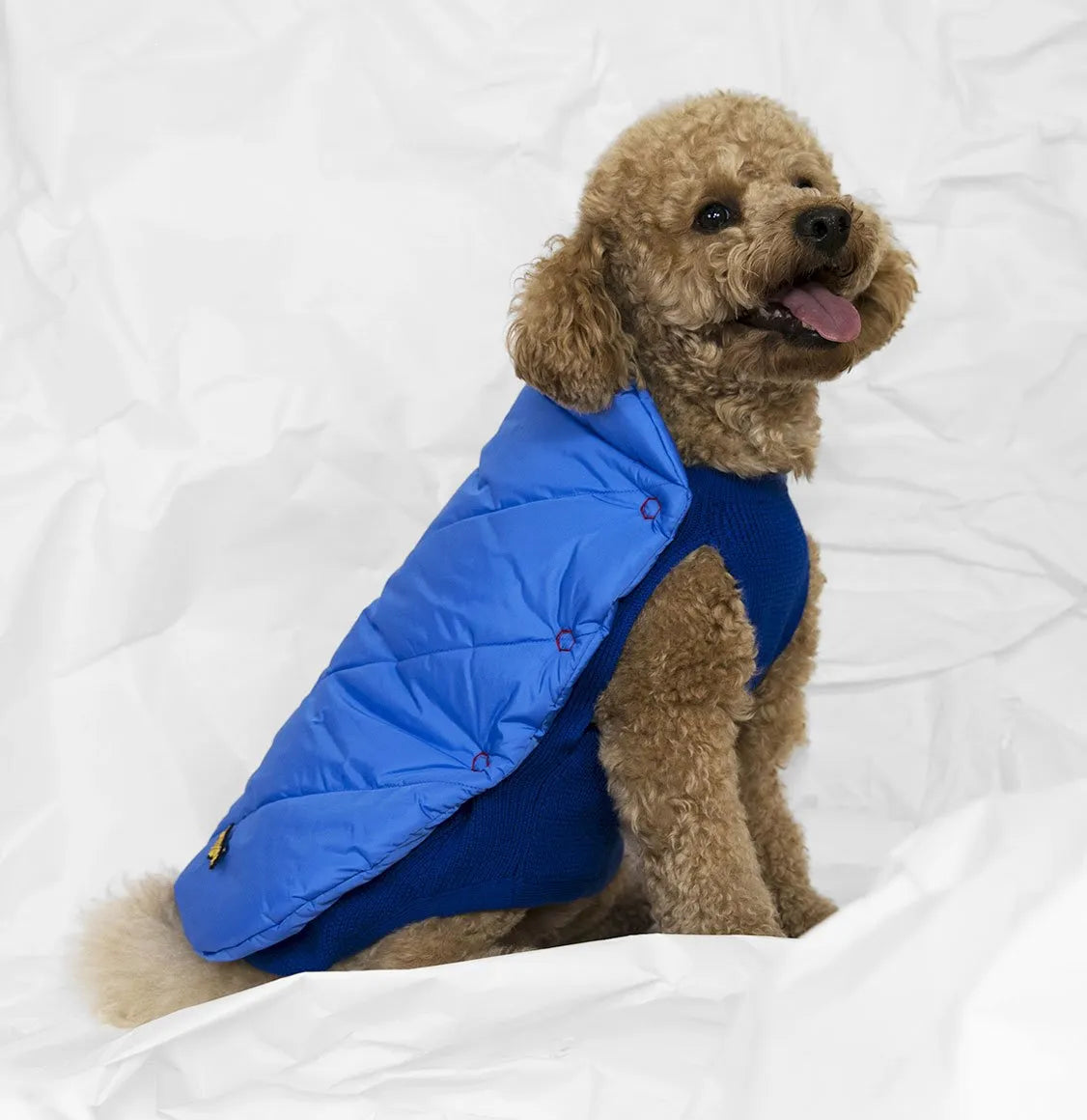 Μπουφάν Για Σκύλους Poldo Dog Couture Cortina Blue 2 in 1 Reversible Dog Coat