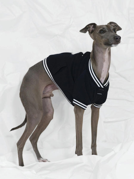 Poldo Dog Couture Baseball Bomber Jacket Navy | C