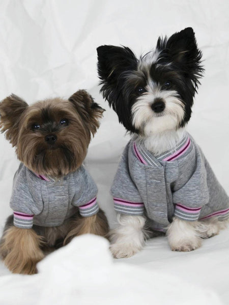 Poldo Dog Couture Baseball Bomber Jacket Grey | B