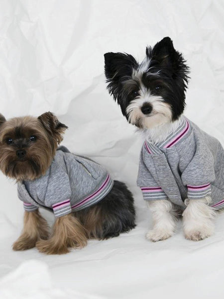 Poldo Dog Couture Baseball Bomber Jacket Grey | C