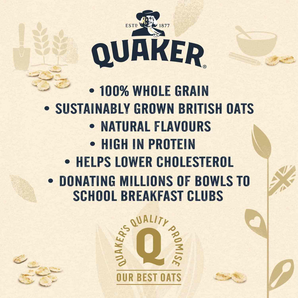 Quaker Oat So Simple Protein Original 302g-C