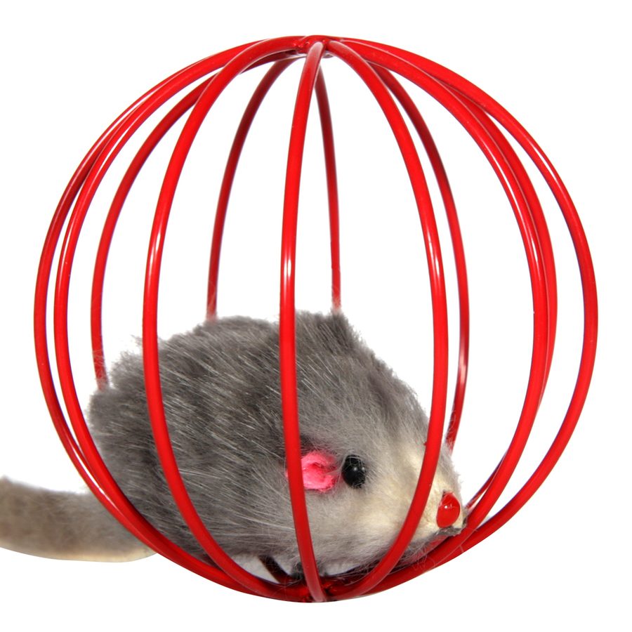 cat_toy_mouse_in_ball