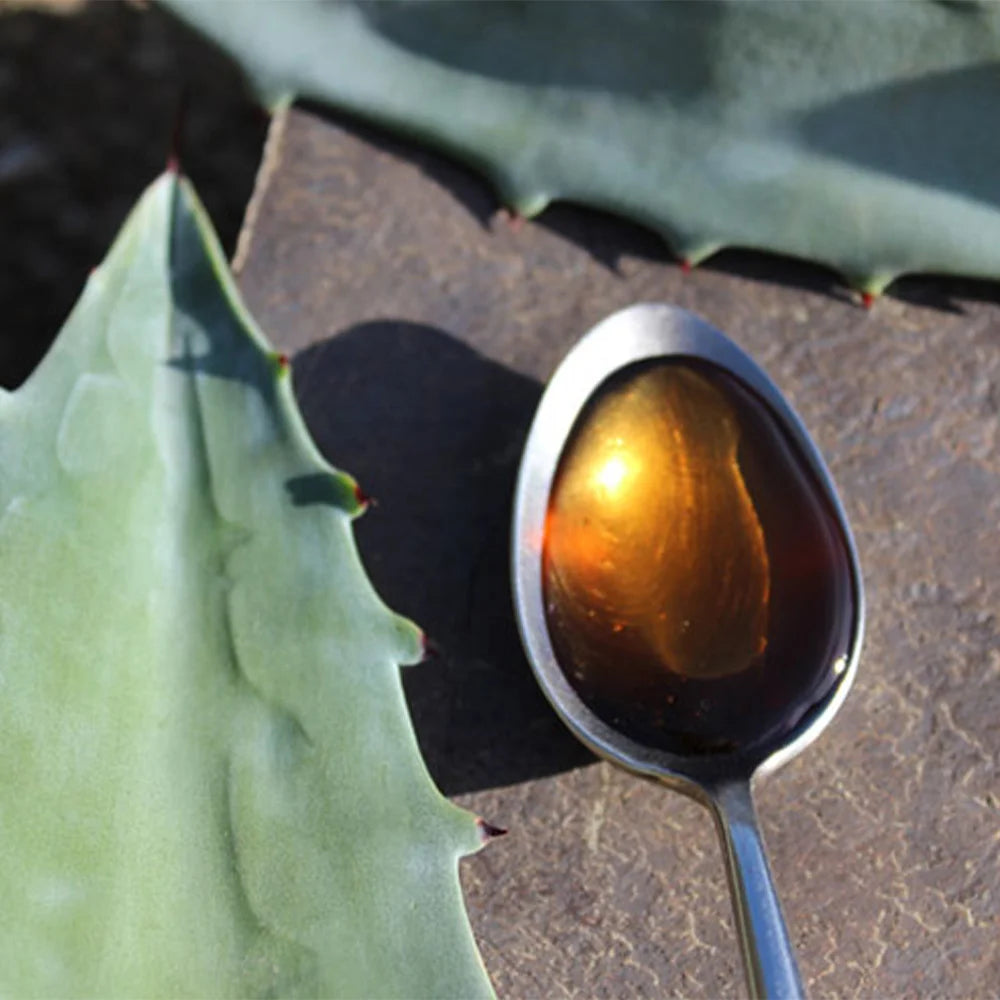 Σιρόπι Αγαύης Βιολογικό De Traay Agave Syrup Dark and Rich Bio 490g