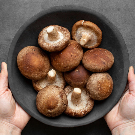 Ολόκληρα Μανιτάρια Diamond Whole Shiitake Tonko Mushrooms 284g