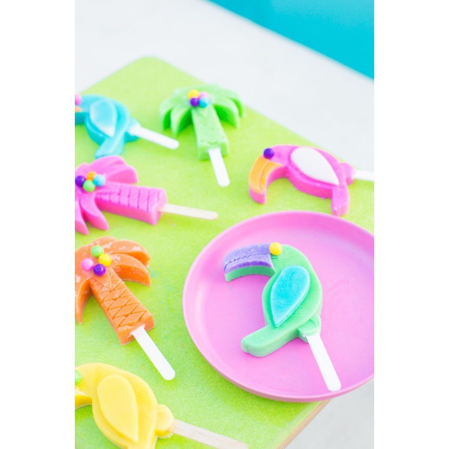 Θήκη Καλούπι Παγωτού Πλαστική Καρπούζι Tucan Ροζ 18.5x10cm