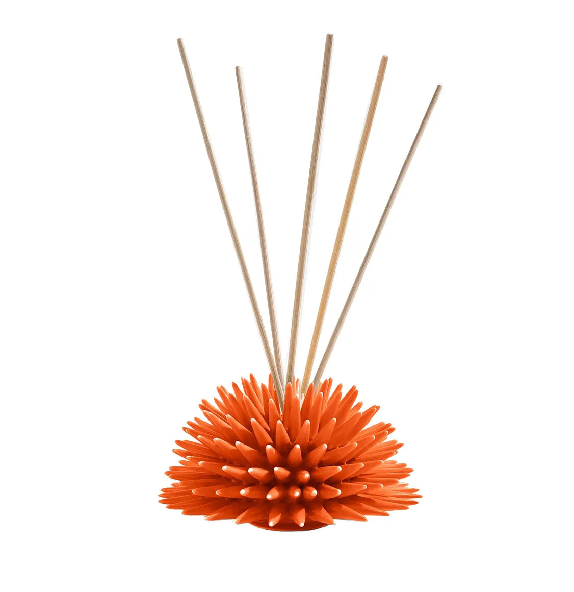 Αρωματικό Χώρου Ricciocaprese Scent Diffuser Orange Tea 250ml 