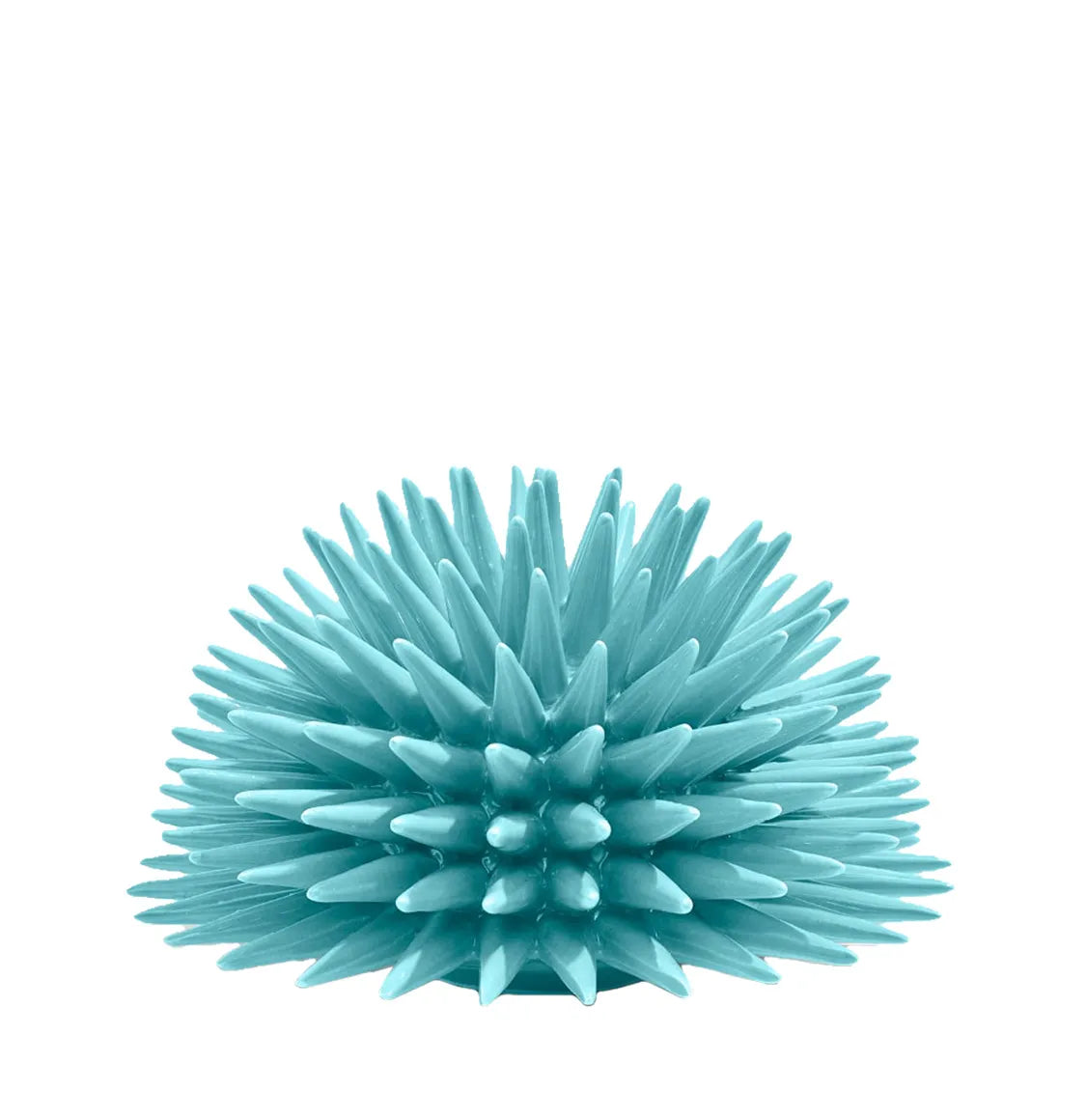 Διακοσμητικό Χώρου Ricciocaprese Riccio Decor Aquamarine 