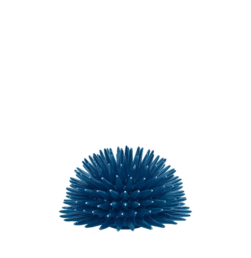 Διακοσμητικό Χώρου Ricciocaprese Riccio Decor Blue Capri
