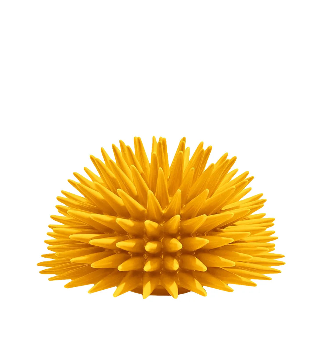 Διακοσμητικό Χώρου Ricciocaprese Sea Urchin Decor Yellow