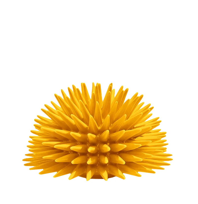 Διακοσμητικό Χώρου Ricciocaprese Sea Urchin Decor Yellow