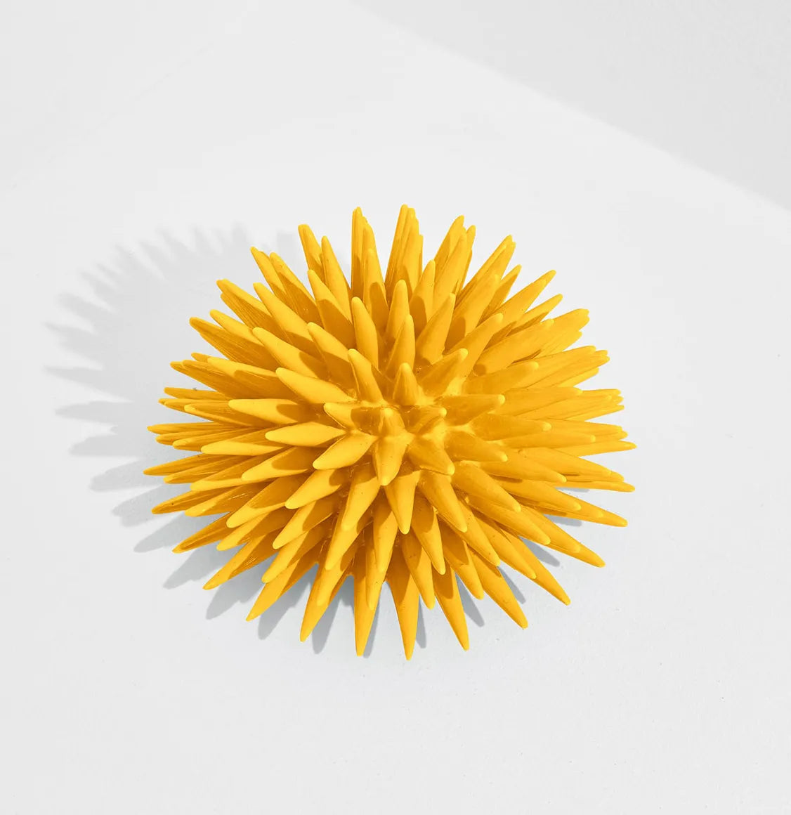 Διακοσμητικό Χώρου Ricciocaprese Sea Urchin Decor Yellow