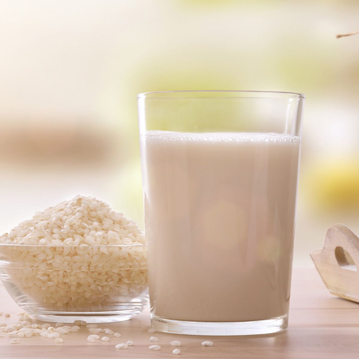 Φυτικό Οργανικό Ρόφημα Ρυζιού Και Καρύδας Riso Scotti RisoVital Rice Coconut Drink No Added Sugar