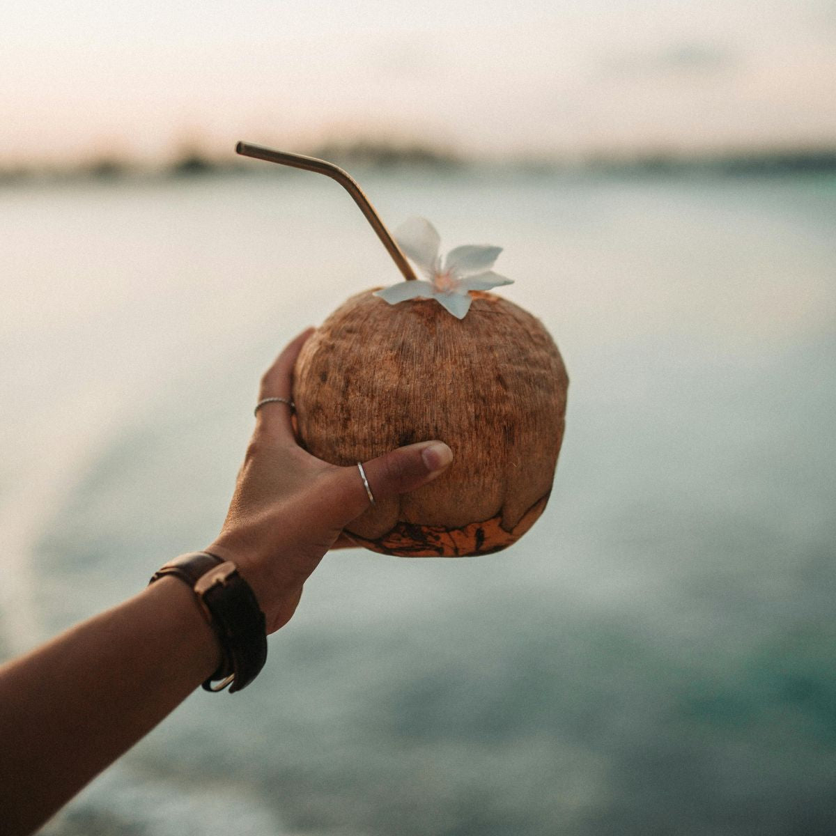 Φυτικό Οργανικό Ρόφημα Ρυζιού Και Καρύδας Riso Scotti RisoVital Rice Coconut Drink No Added Sugar