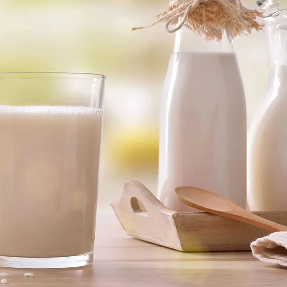 Φυτικό Οργανικό Ρόφημα Ρυζιού Riso Scotti RisoVital Rice Drink No Added Sugar 1lt