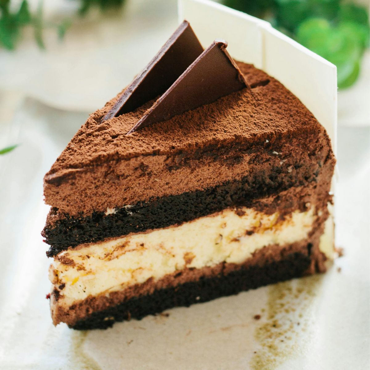 Σκόνη Κακάο Vanhouten Cacao 125g