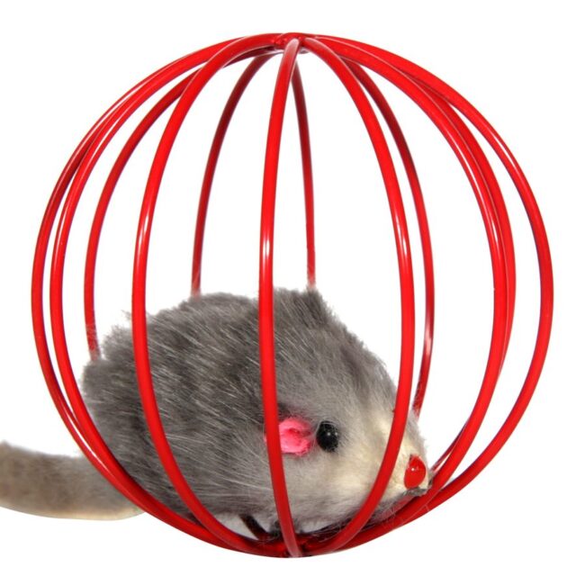 cat_toy_mouse_in_ball