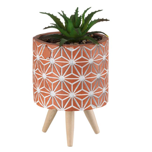Decorative Ceramic Terracotta Pot With Wooden Legs And Real Plant 8x14cm-A