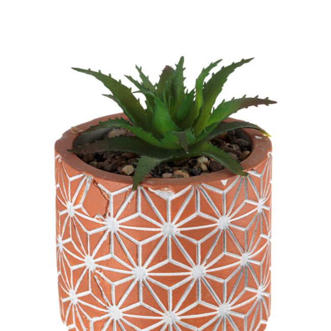 Decorative Ceramic Terracotta Pot With Wooden Legs And Real Plant 8x14cm-B